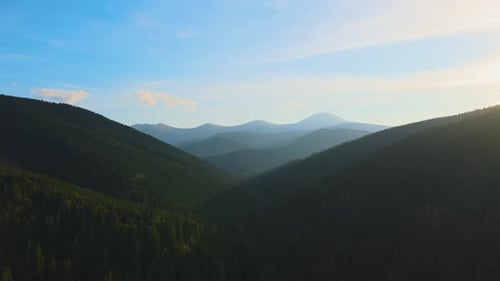 Aerial View of Foggy Evening Over High Peaks with Dark Pine Forest Trees at Bright Sunset Amazing