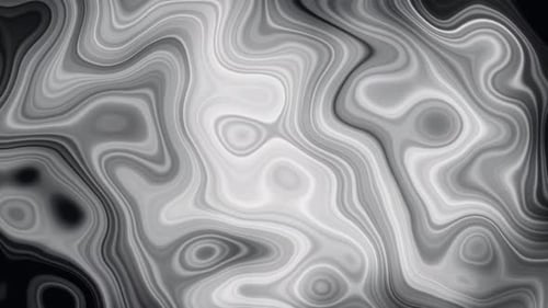 Abstract Black and White Fluid Morphing Lines Motion Background