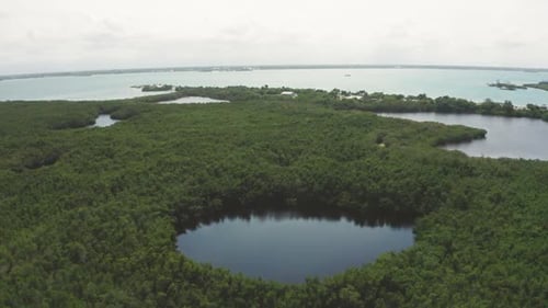 Zone humide de Floride dans une réserve naturelle