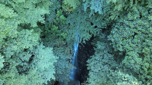 Aerial View of Waterfall Flowing Through Lush Forest
