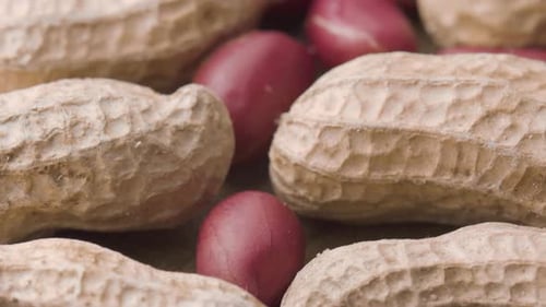 Closeup view of fresh peanuts on wooden table. Macro shot