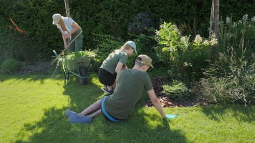 Une famille collabore dans le jardin pour arracher les mauvaises herbes et remplir une brouette dans le cadre de son jardin