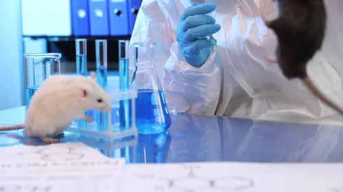 Scientist in Hazmat Suit Injecting a Lab Rat