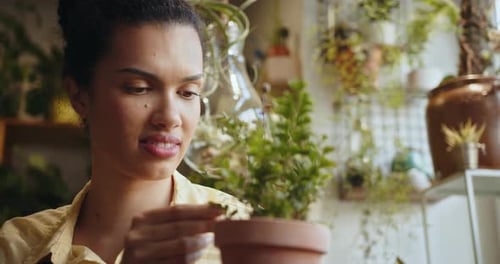Botanist Taking Care of Plant in a Pot While in Flower Shop Smiling Successful