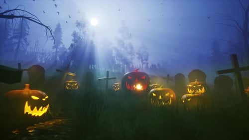 Halloween Pumpkin Field 4K