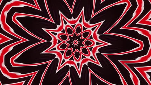Red and white flower on black background. Kaleidoscope VJ loop