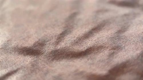 Brown Abstract Textured Surface Close Up