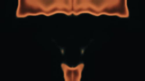 Rorschach Animationen