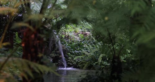 Serene view of a small waterfall gracefully flowing into the lake, framed by lush green forest plant