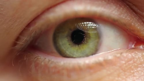 Extreme Close Up of Woman Blinking Beautiful Eye with Green Iris Slow Motion