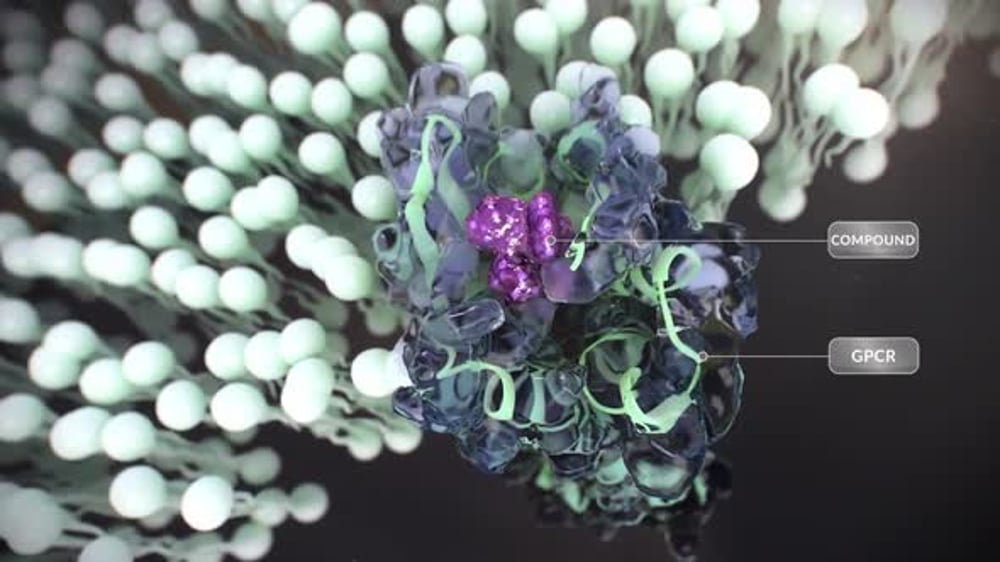 3D Animation of Compound Activating GPCR Receptor in Cell Membrane ...