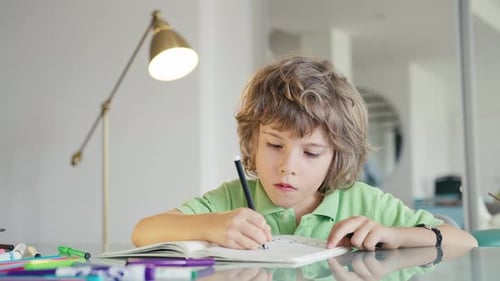 Young Boy Drawing in a Notebook at Home
