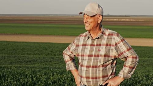 Portrait of senior farmer standing in field at sunset looking at distance.