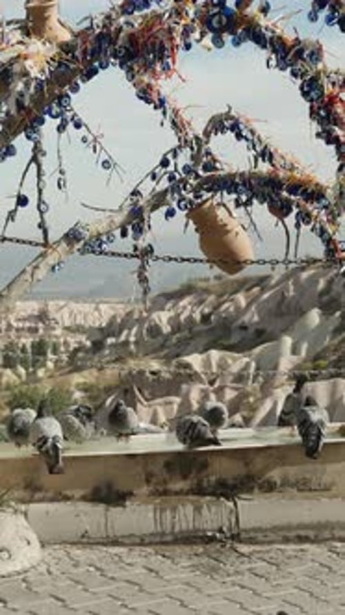 Vidéo verticale. Une mangeoire à pigeons en haut des montagnes avec pour toile de fond une ville ancienne
.