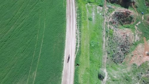 Man riding fast on a horse, surrounded by green lush pasture.