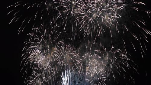 loop seamless of real fireworks background, Fireworks display celebration