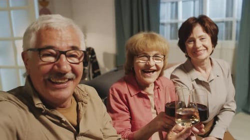 Seniors Toasting Wine With Friends at Home