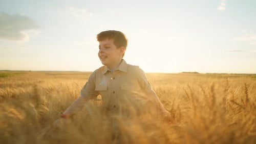 Cute Little Boy is Running on Golden Wheat in Beautiful Agricultural Field Happy and Carefree