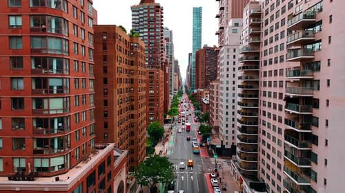 Cars and buses move one way by the long straight avenue.