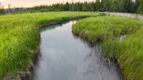 Aerial drone shot of a calm stream flowing through vibrant green grasslands with forest in the