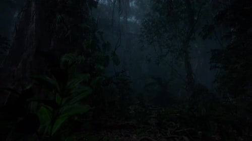 Die Szene der Regenfälle im Wald, der Regen fällt am alten Baum