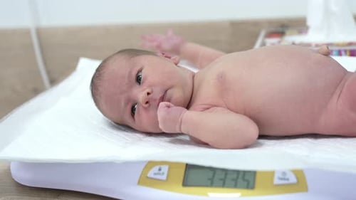 Newborn Infant Lying on Scale in Hospital