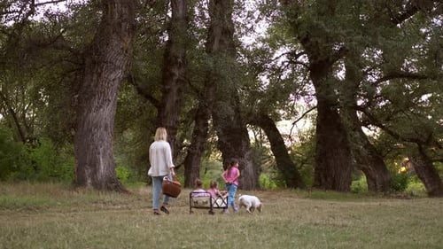 Woman Pulling Children in Wagon in a Grassy Field