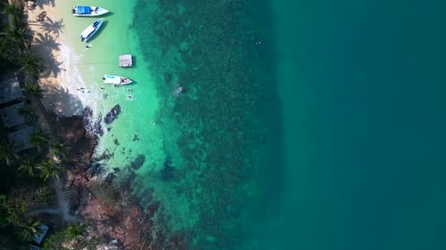 Tour Boat and Snorkelers swimm in Tropical Waters. Magic aerial view flight drone