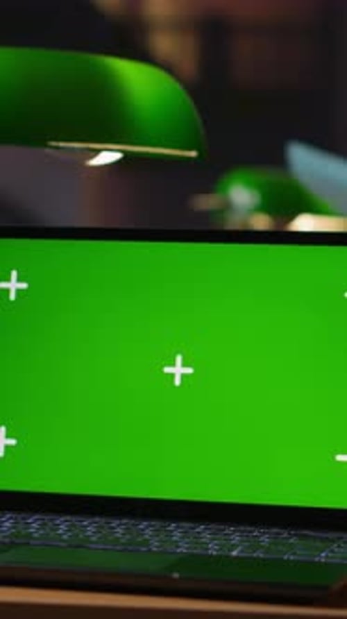 Vertical Video Scholars Writing Essays in a Library with Isolated Display for Assignments