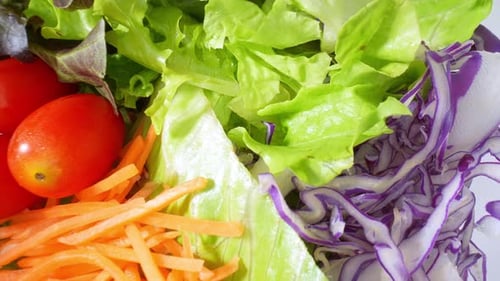 A close-up showcases a Vegetable salad.