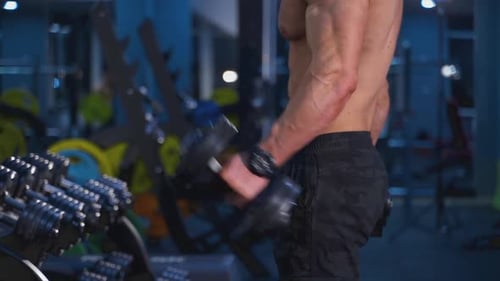 Muscular Man Lifting Dumbbells in Gym