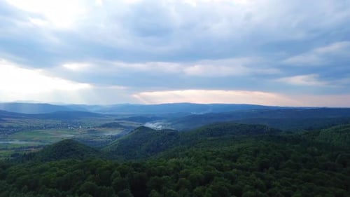 Green Forest On The Mountains
