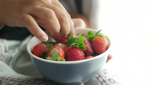 Close Up of Hand Picking Fresh Strawberries