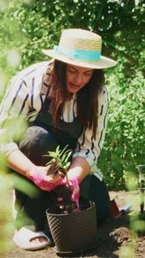 Woman Gardening Plants Outside in Beautiful Green Garden