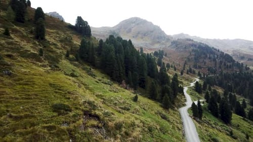 Winding road through a mountainous forested landscape