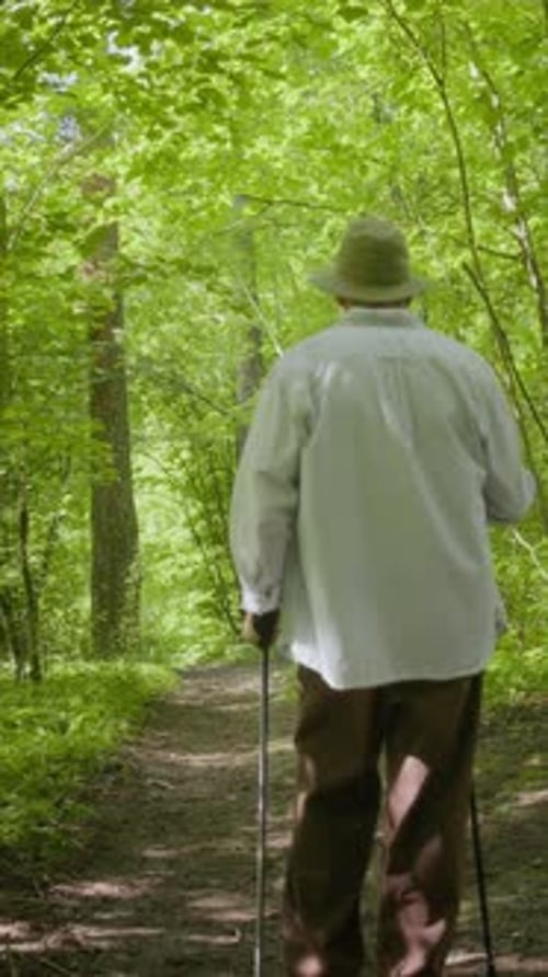 Vertical of Travelers Exploring Forest Trails