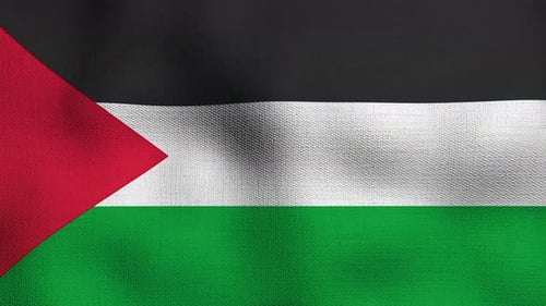 Palestine Flag Waving in Realistic Fabric Texture Loop