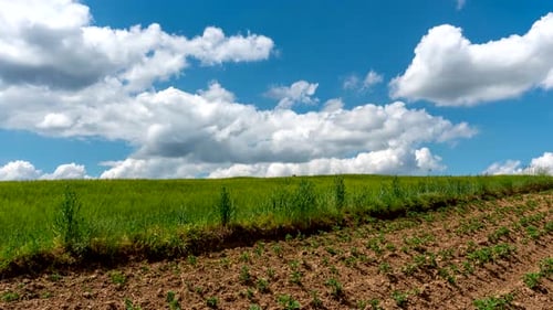 Rural landscape
