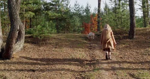 A Middleaged Woman Walks with a Dog in the Autumn Forest