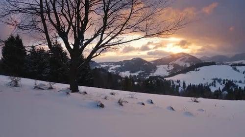 Golden Light of Sunrise in Winter Nature