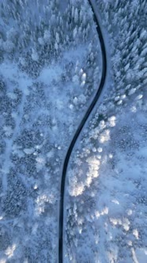 Estrada panorâmica através de uma floresta montanhosa de conto de fadas de inverno