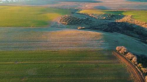 Sunset footage over beautiful fields