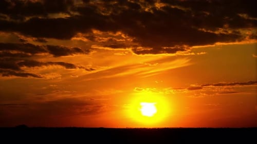 Dramatisch Zeitraffer eines goldenen Sonnenuntergangs mit vorbeifliegenden Vögel