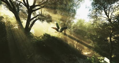 Natural Light Filters Through Trees in a Serene Forest Landscape