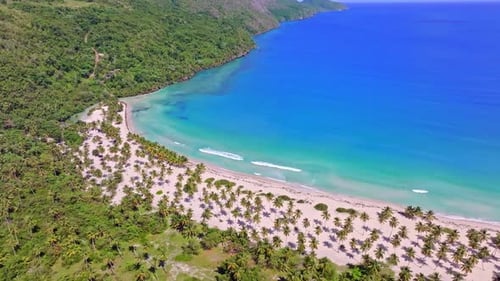 Coconut Trees On White Sand Beach With Turquoise Waters. Playa Rincon In Samana, Dominican Republic.