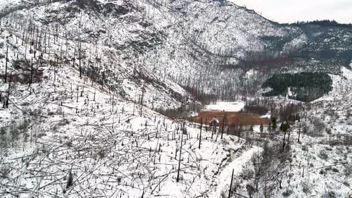 Impacto duradouro do incêndio florestal devastador: foto retrospectiva de árvores queimadas e Snowy Mou