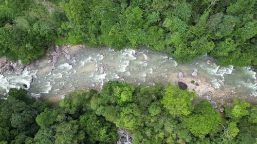 Dance of water and lush forest in a captivating scene. Aerial view.