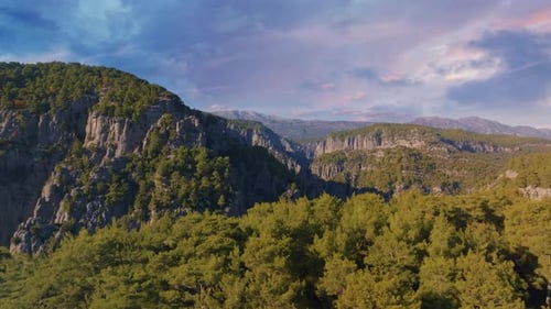 Flying Over the Trees at the Top of the Canyon