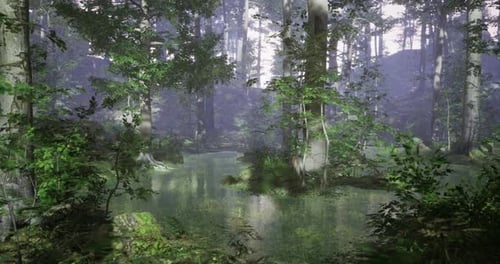 Serene Forest Landscape with Tranquil Water Reflecting Dense Greenery