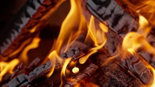 Burning Embers and Fiery Flames in a Warm Fire